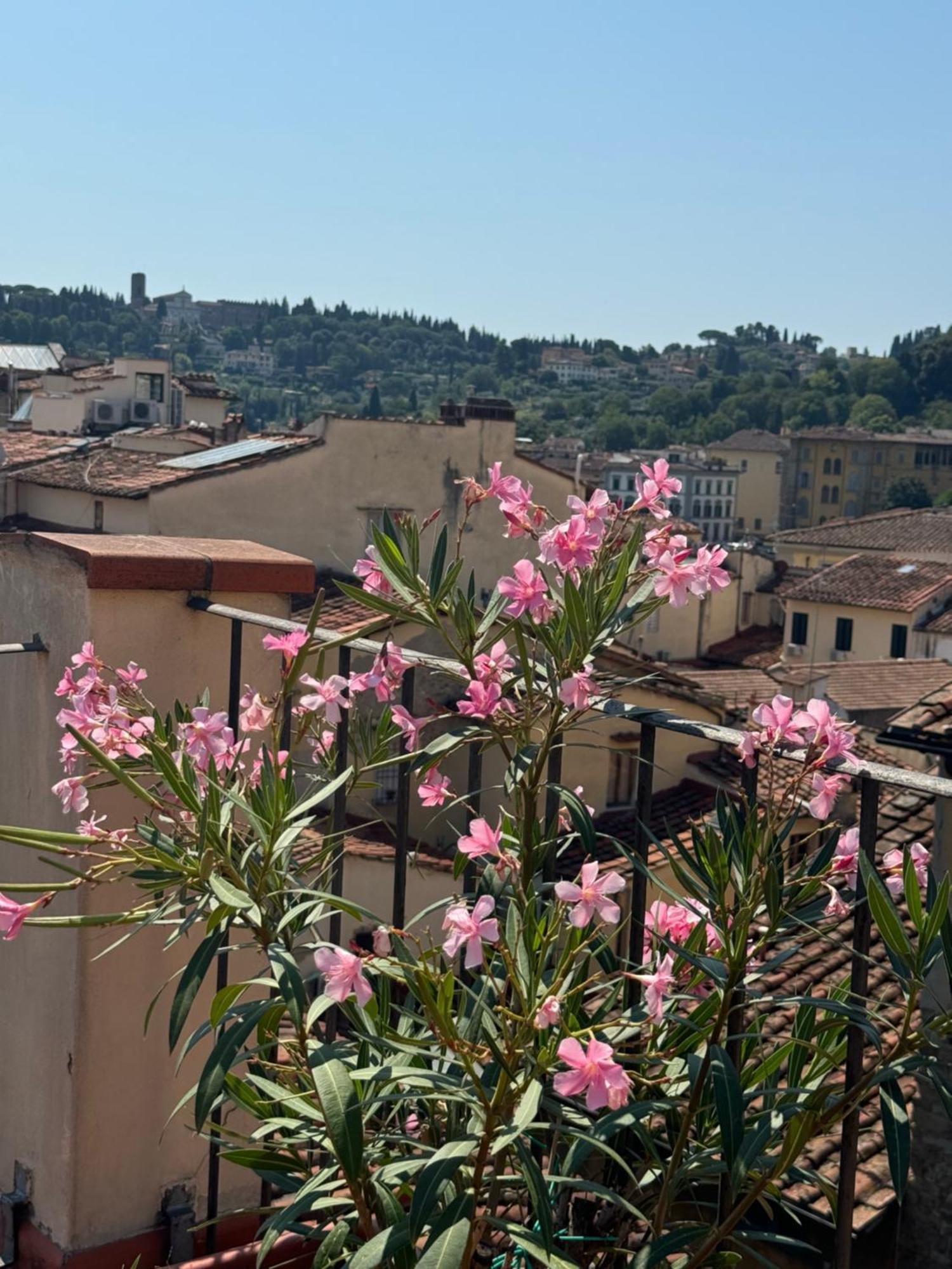 Firenze Panorama Suite & Terrace Exterior photo